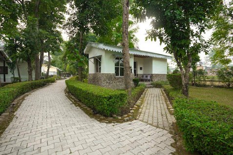 Ashoka Tiger Trail - Balcony View & Stay highlights - Gola Holidays